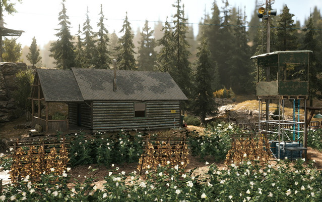 Скриншот из задания «Скорость» - Far Cry 5